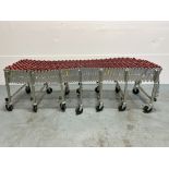 Nestaflex 226 Collapsible Skate Conveyor