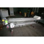 10' L x 20" W x 36" H Portable S/S Conveyor with 18" W Intralox Type Plastic Belt, 1/2 hp / 1725 rpm