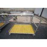 76" L x 5' W x 46" H S/S Belt Conveyor/Operator's Platform, with 13" Wide Belt and Drive Motor (