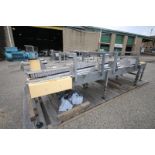 Century / Simplimatic 15" L x 22" W x 32" H Single Filer Conveyor with Plastic Rex Type Belt, SEW