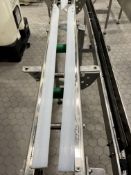 SECTION OF SIDEL S/S CONVEYOR 26" FT L 4" IN W