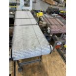 (2) SECTIONS OF DAIRY CONVEYOR, (1) 20" L X 16" W, (1) 5' L X 16" W (YOG157)(INV#86304)(Located @