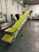 Allen Incline Conveyor