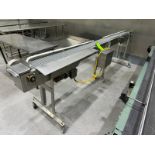 Straight Section of Product Conveyor