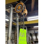 (1)HARRINGTON 1 TON ELECTRIC HOIST (1)3 TON HOIST SYSTEM