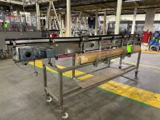 Straight Section of S/S Product Conveyor (LOCATED IN FREEHOLD, N.J.) (Simple Loading Fee $440)
