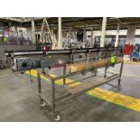 Straight Section of S/S Product Conveyor (LOCATED IN FREEHOLD, N.J.) (Simple Loading Fee $440)
