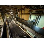 S/S Auger Conveyor, Aprox. 35 ft. L, with Drive, with Top S/S Cover & S/S Infeed Funnels (LOCATED IN