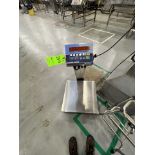FAIRBANKS S/S PLATFORM SCALE WITH DIGITAL READOUT