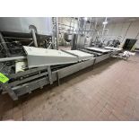 Ricotta Cheese Traugh, with Aprox. 37” WConveyor, with Single Wall S/S Traugh, Includes 10 hp PD