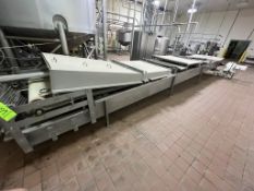 Ricotta Cheese Traugh, with Aprox. 37” WConveyor, with Single Wall S/S Traugh, Includes 10 hp PD