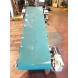 Wieland Engr. Aprox. 22" x 86" Inclined Troughing Blue Belt Sanitary Conveyor, S/N A555004, Last