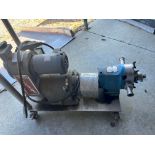 Used Waukesha Pump, Size 30. Sanitary Steel Construction. 2 hp Motor Three Phase 60 cycle 1730