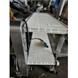 Dual 18" White Intralox Belt Conveyor Pack Off S/S Conveyor, Both Belts are 18" W x 72' Long, Tables