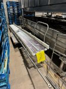 Straight Section of S/S Mesh Conveyor, Aprox. 12 ft. L with Aprox. 12” W Conveyor, with S/S Clad