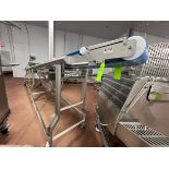 2020 SMALLEY PORTABLE INCLINE CONVEYOR WITH TROUGHING IDLERS, S/N 28219-02, APPROX. 300 IN. L X 12