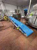 CONVEYOR COMPONENT SYSTEMS PORTABLE INCLINE CONVEYOR WITH TROUGHING IDLERS, APPROX. 330 IN. L X 23