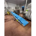 CONVEYOR COMPONENT SYSTEMS PORTABLE INCLINE CONVEYOR WITH TROUGHING IDLERS, APPROX. 330 IN. L X 23