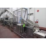 BOSTON CONVEYORS AND AUTOMATION HYDRAULIC LIFT/ SWITCH CONVEYOR