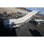 Laughlin Corp. 12' L S/S Inclined Power Belt Conveyor, 31" to 79" H, with 23.5" W Rex Type Plastic