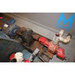 Roper 3 hp Water Pump, Type 11225, S/N R862465, 230/460 Volts, 3 Phase(INV#66837)(LOCATED AT MDG