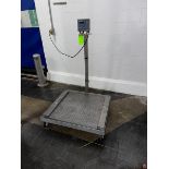 Mettler Toledo S/S Platform Scale, M/N PANTHER, Platform Dims.: Aprox. 30” L x 30” W, Mounted on