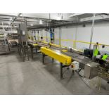 Goldco Discharge Accumulation Conveyor, with Guide Rails & Drives, with Control Panel (LOCATED IN