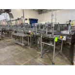Straight Section of Conveyor, Aprox. 40 ft. L,  with S/S Lanes, Mounted on S/S Frame (LOCATED IN