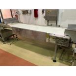 Straight Section of Transfer Conveyor, Aprox. 10 ft. L x 30” W Belt x 36” H (Peak to Floor), with