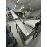 Incline Transfer Conveyor, with Aprox. 18” W Belt, with S/S Infeed Sides, Peak to Floor Dims.: