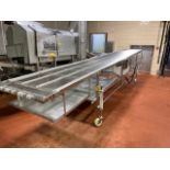 Conveyor 36" x 20' Hydraulic Drive - Stamp 14050039