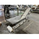 Coastal Equipment Corp. S/S Infeed Hopper, with Incline, Incline Height: Aprox. 60" H (Peak to