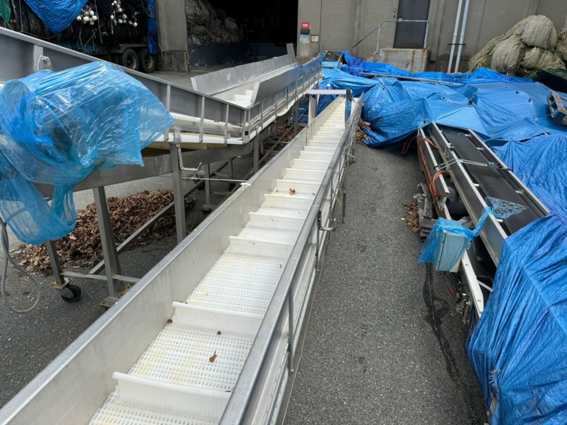 2001 ODIM S/S Incline Conveyor, - Image 3 of 7