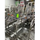 Optimar Lid Applicator Conveyor 2002, with Aprox. 16" W Rolls, with Motor, Mounted on S/S Frame (