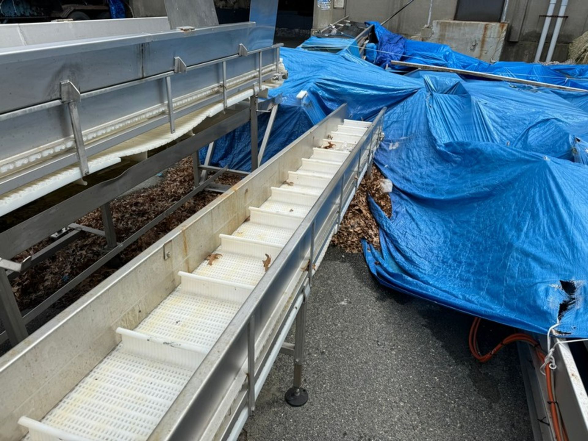 2001 ODIM S/S Incline Conveyor, - Image 4 of 7