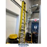 Featherlite 12 ft shop ladder