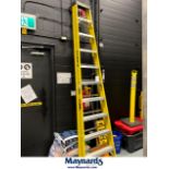 Featherlite 10 ft ladder