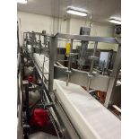 Transfer Conveyor with Diverters