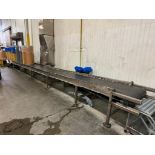 Transfer Conveyor