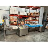 VC999 RS 420 Rollstock Packaging Machine