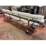 Transfer Conveyor