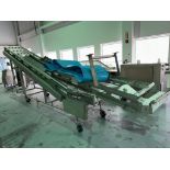 AMFEC Incline Conveyor