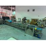 AMFEC Conveyor