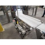 Dorner Conveyor