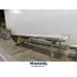 Rademaker sanitary belt conveyor,