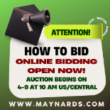 HOW TO BID