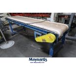 12' x 30" Powered Belt Conveyor