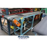 Bunting Magnetics 12' x 18" Magnetic Powered Belt Conveyor