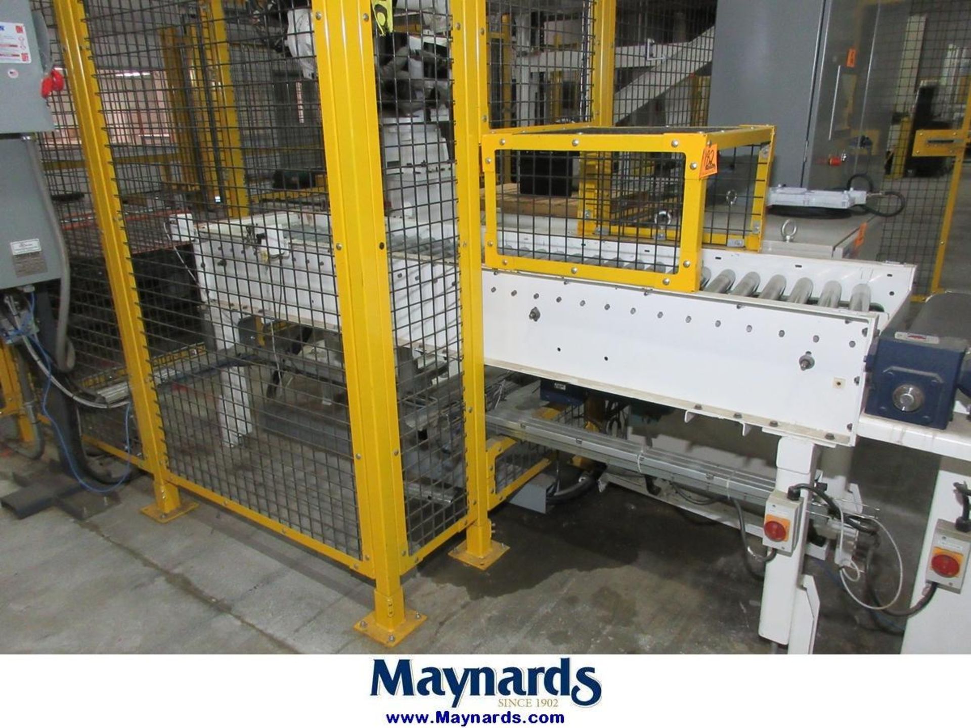 TEC Automation Automated Palletizing Conveyors Line - Image 9 of 19