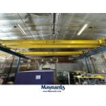 (2) CraneNetics 2-Ton Overhead Bridge Cranes w/ Railing & Supports